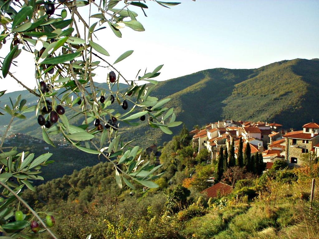 Appartement Borgata Castello à Chiusanico Extérieur photo