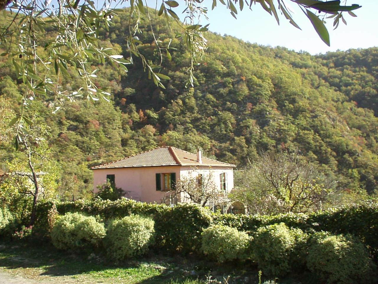 Appartement Borgata Castello à Chiusanico Extérieur photo