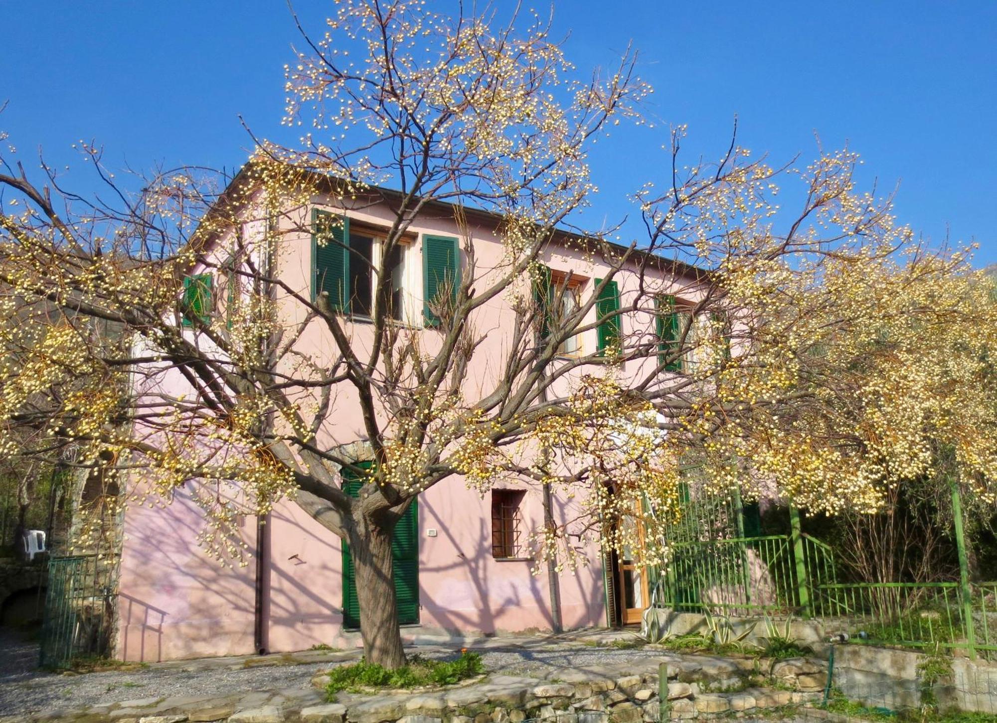 Appartement Borgata Castello à Chiusanico Extérieur photo